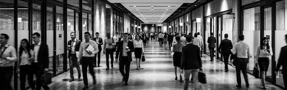 Client Feedback and Cases